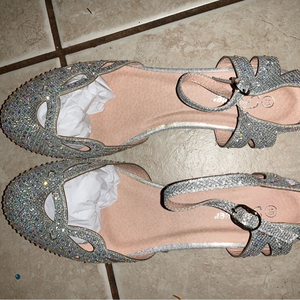 Elegant Silver Women's Shoes